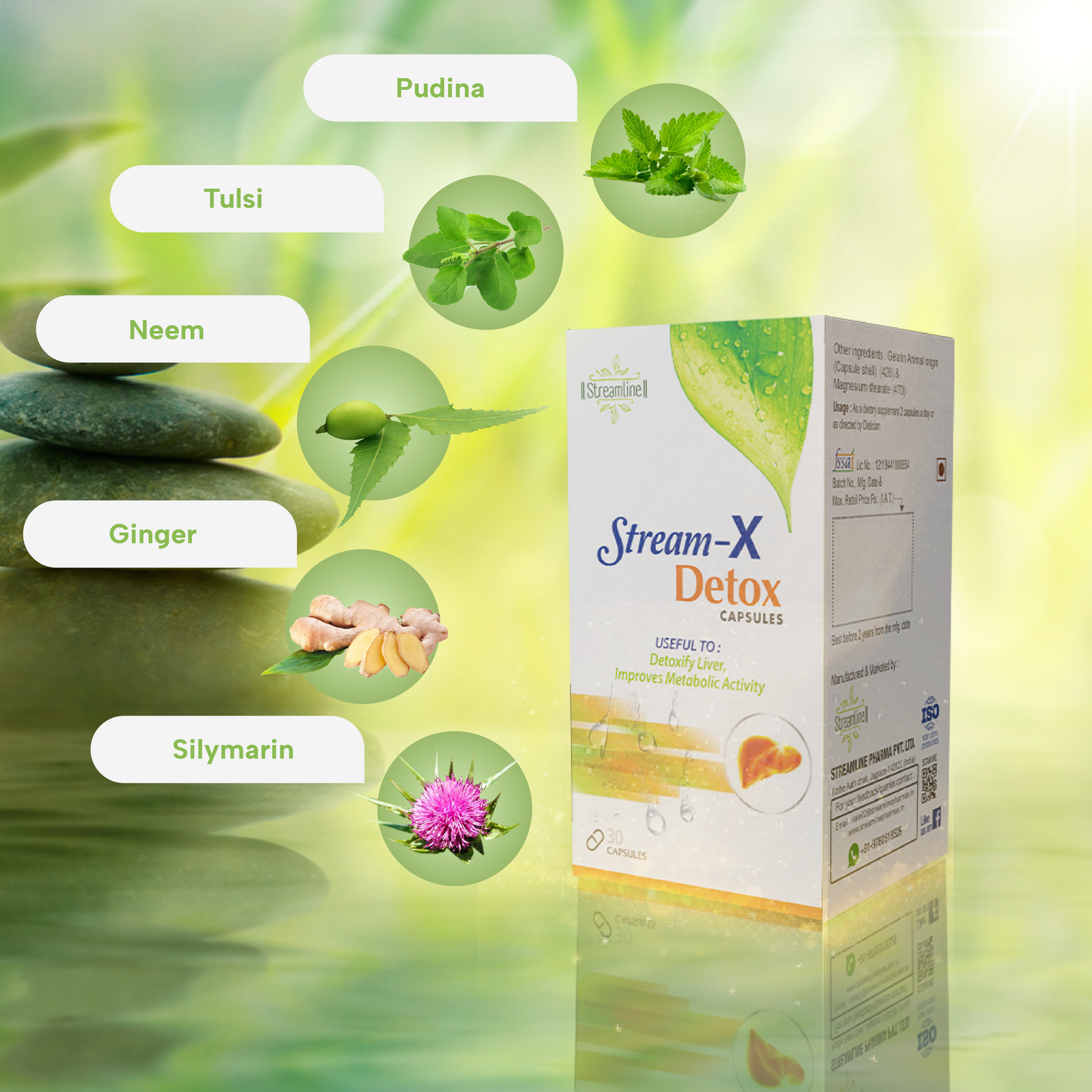 Streamline Herbal Stream-X Detox