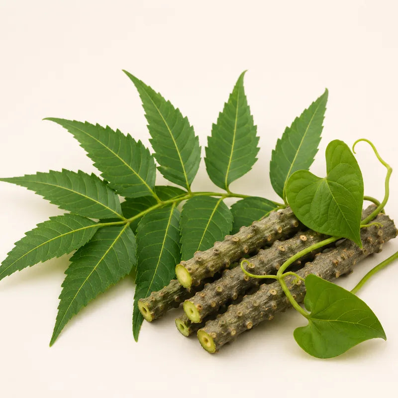 Neem and giloy herbs